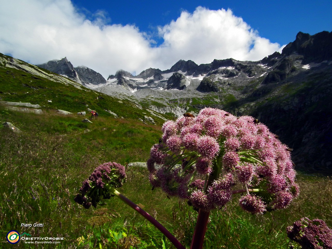 41 Vista a monte ...le cattedrali di granito !.JPG